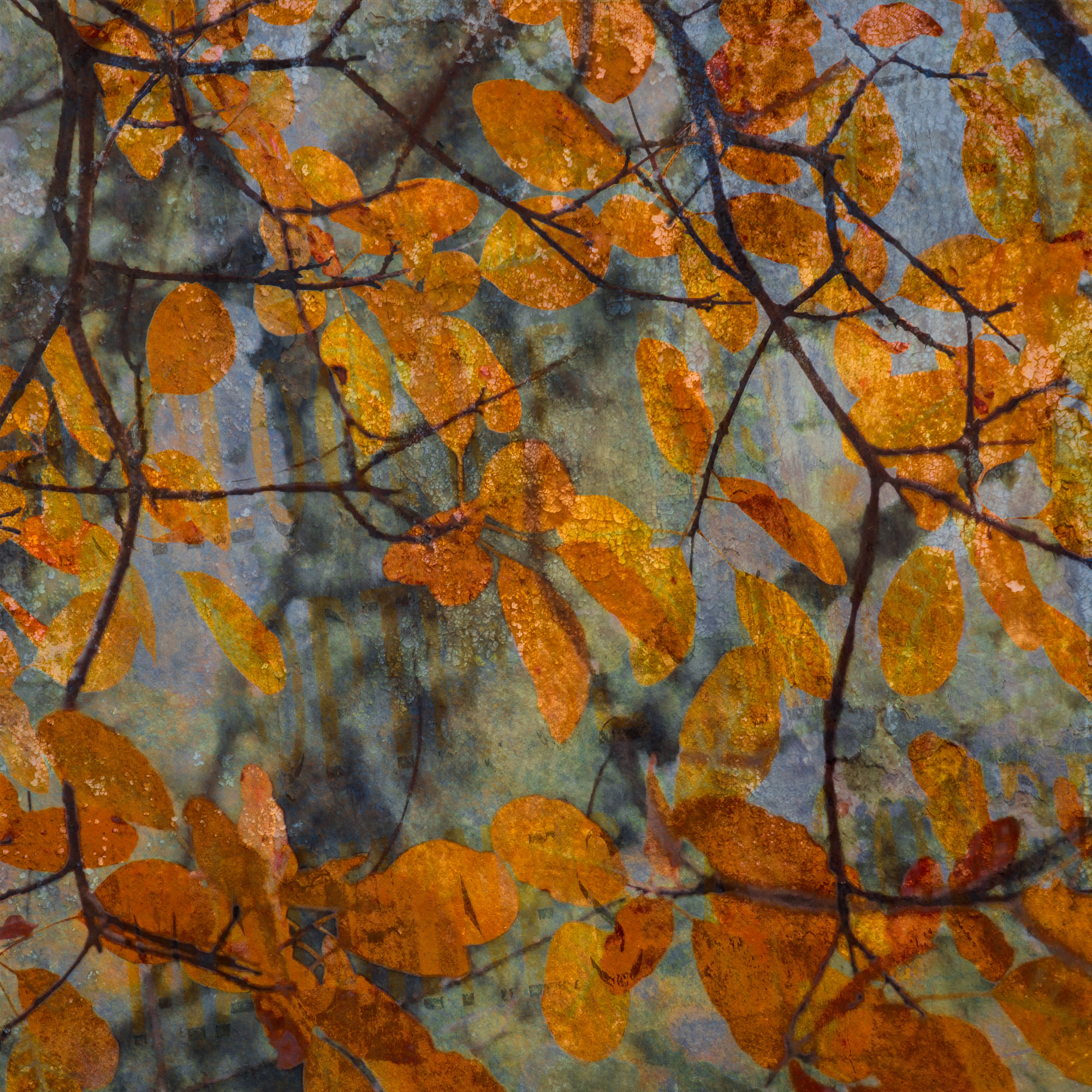 Orange Autumn Leaves tempered glass photo print